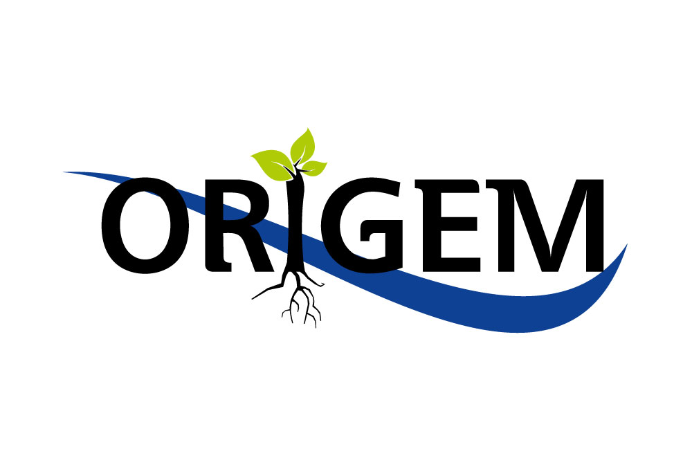 origem